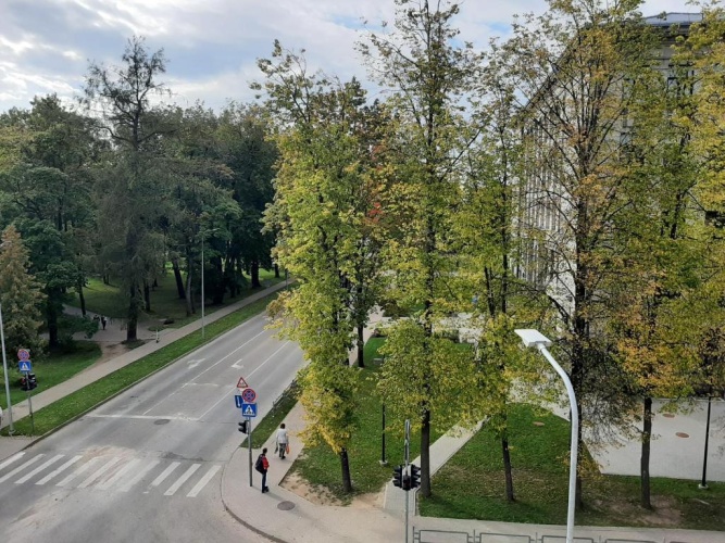 1 Bedroom Double Apartment
