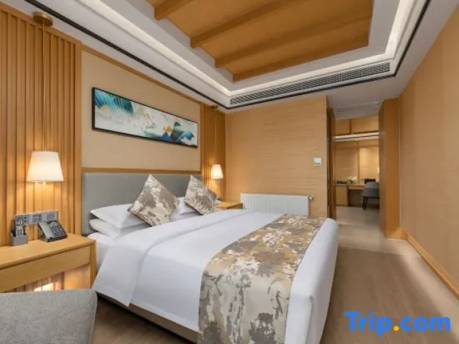 1 Bedroom Suite with city view