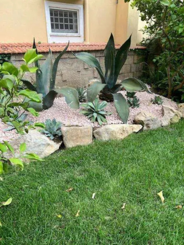 Villa Vie En Rose