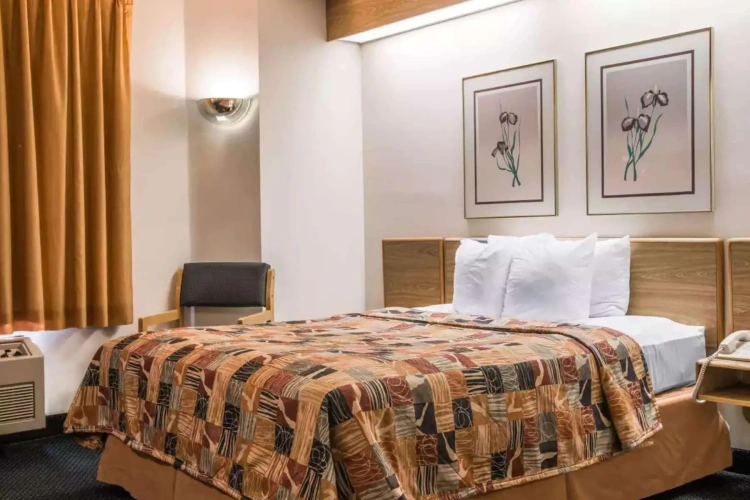 Standard Double room