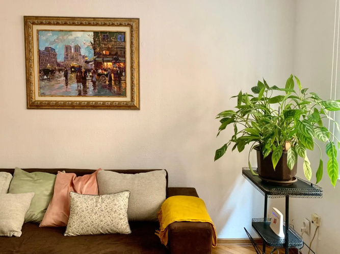 Star apartment 2
