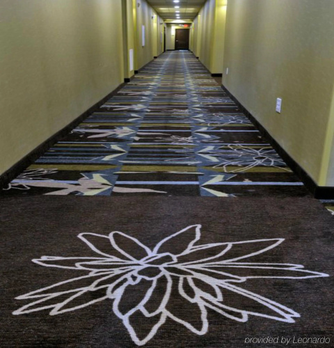 Staybridge Suites St. Petersburg Downtown photo 18