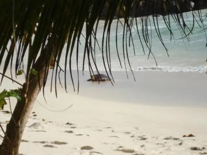 Villa Plein Soleil