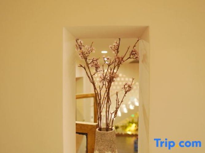 Courtyard  homestay