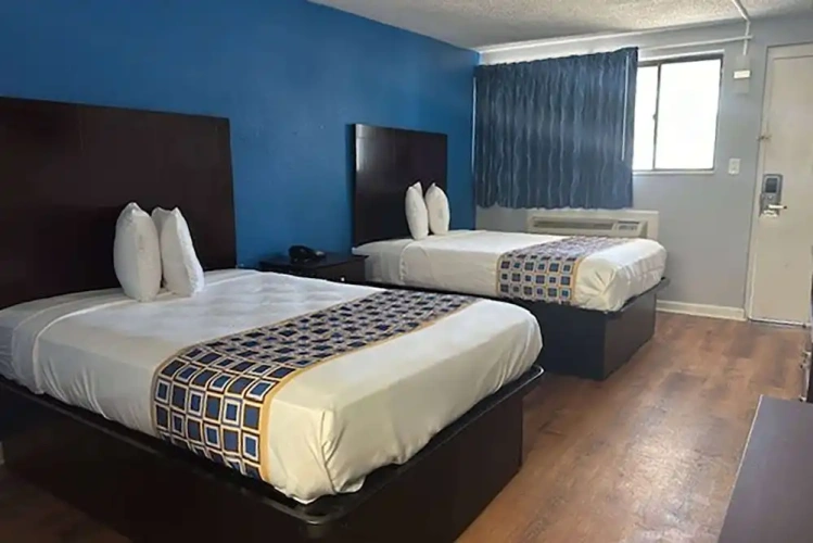 1 Bedroom Suite