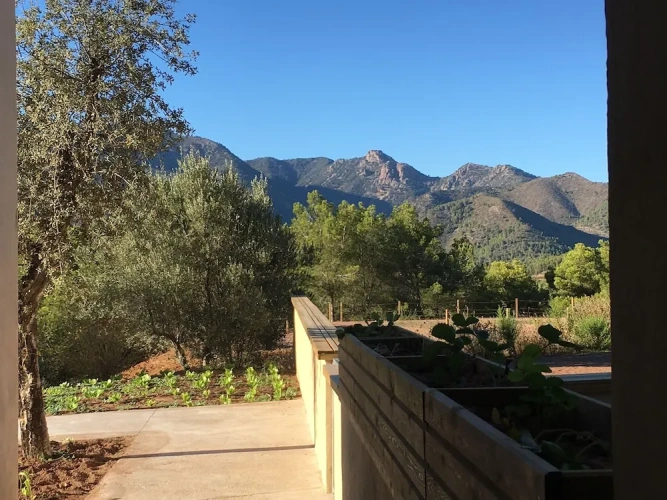 Standard Double room with mountain view