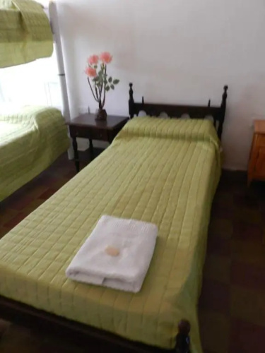 Cardones de Molinos