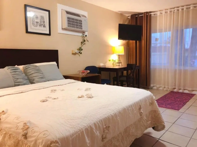 1 Bedroom Suite