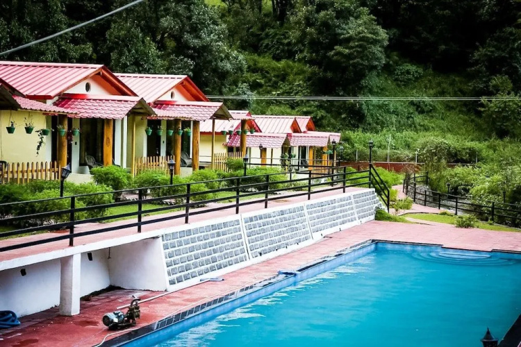 The Jungle Pool
