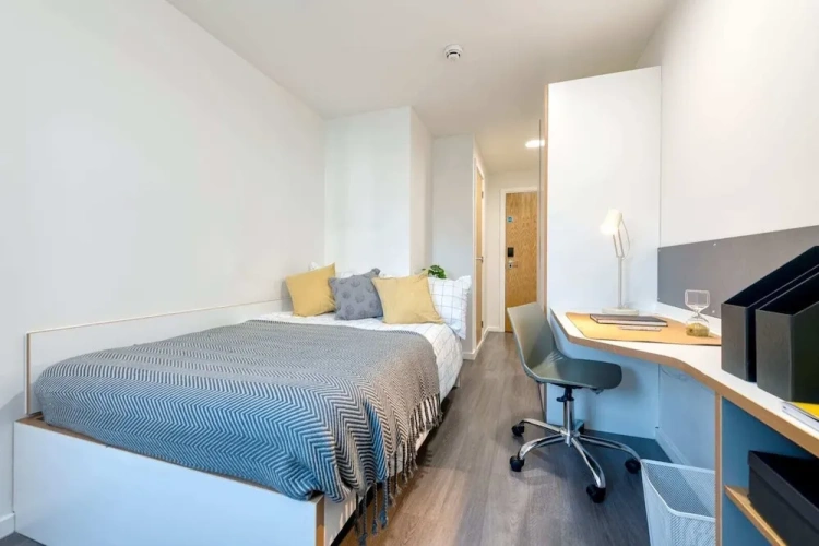 Classic Single room