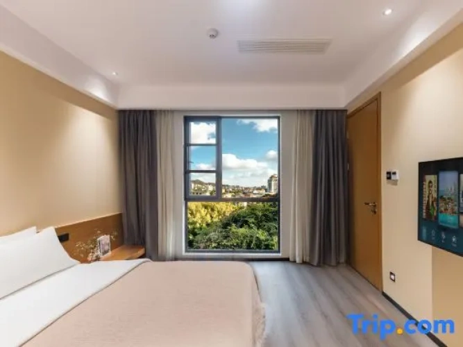 1 Bedroom Suite