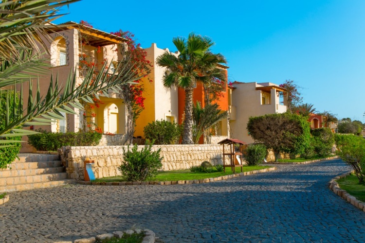 Occidental Boa Vista Beach photo 14