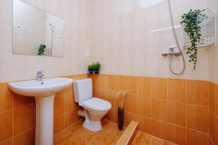   - изображение 1