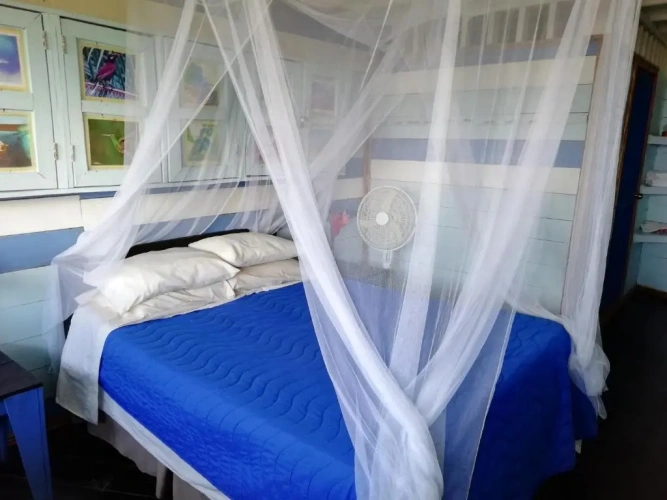 Standard Double room with sea view