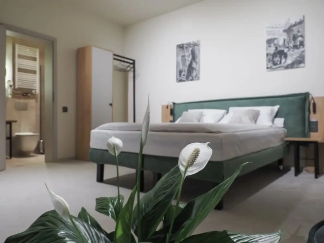 1 Bedroom Deluxe Double room