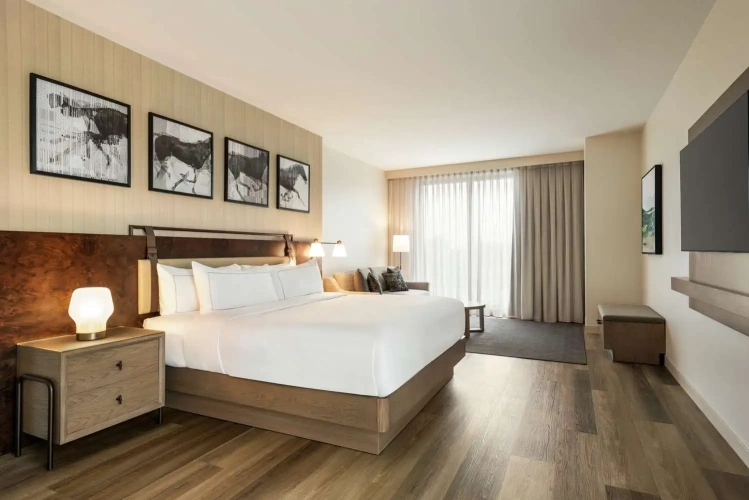 Double Suite