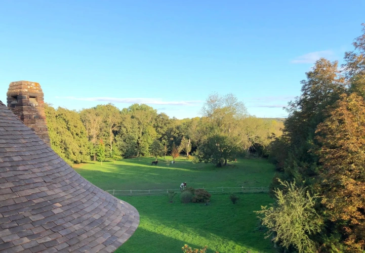 Standard Double room with view