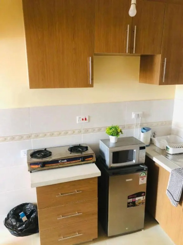Lovely studio in Ngara