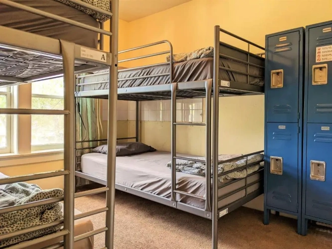 Bed in Dorm