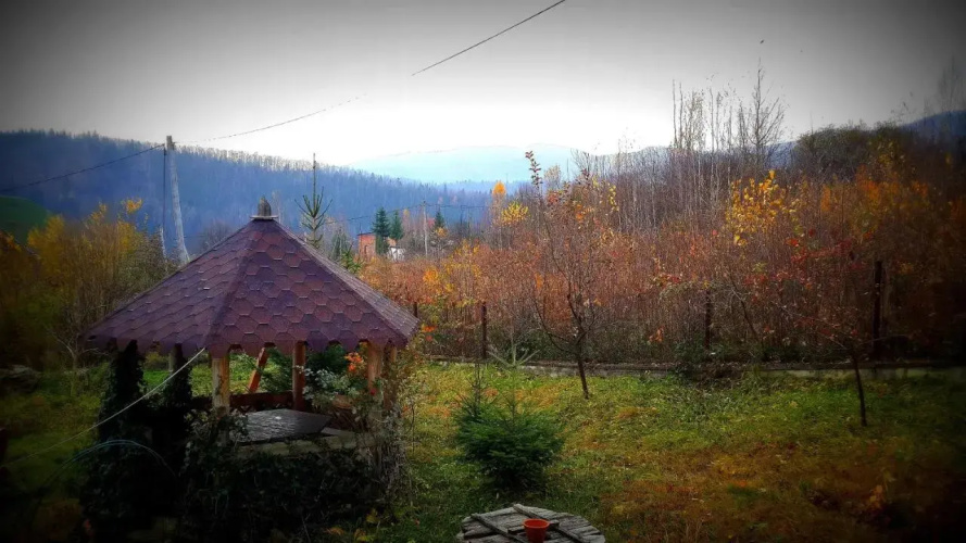 Panorama