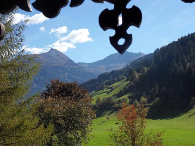 Standard Double room with mountain view