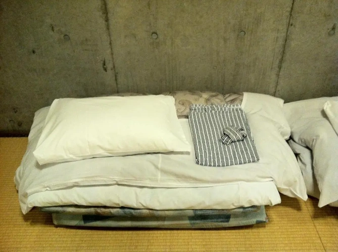 Japanese-style room