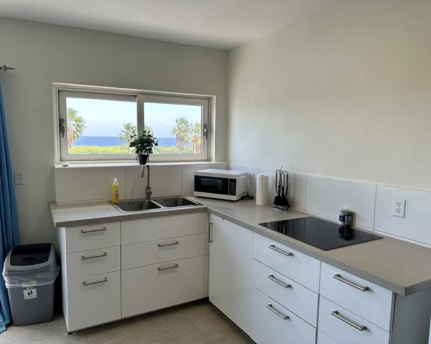 2 Bedrooms Executive Suite with sea view