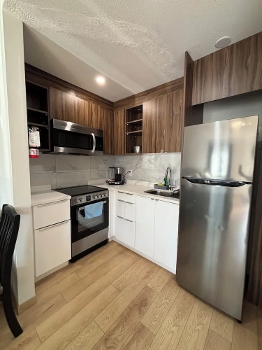 Deluxe Quadruple Basement Suite