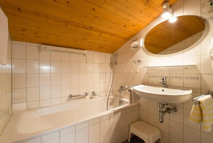 1 Bedroom Standard Apartment