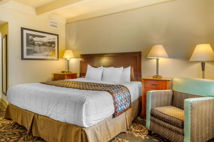 Budget Inn Denver Downtown