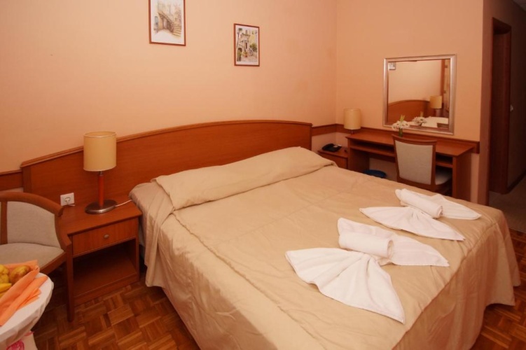 Standard Double room with park view