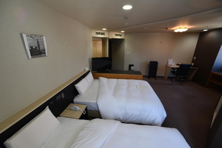 Standard Twin Family room