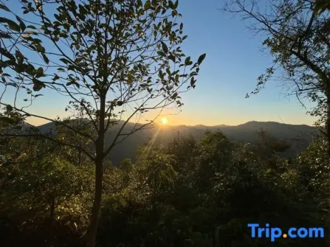 Villa homestay
