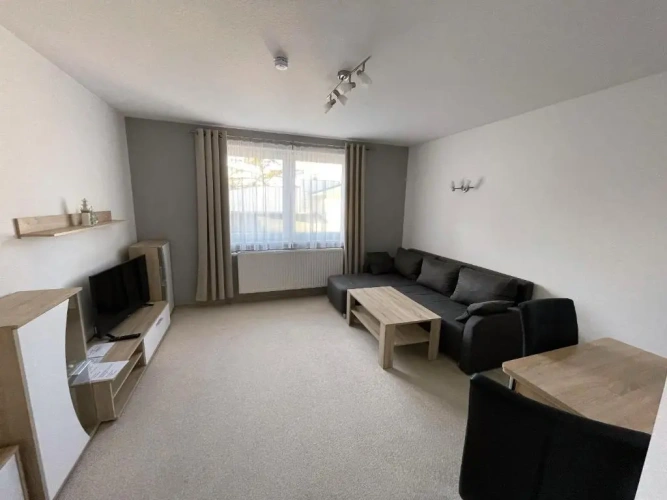 1 Bedroom Standard Apartment