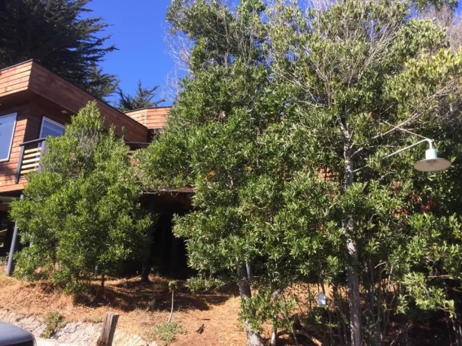 2 Bedrooms Cottage