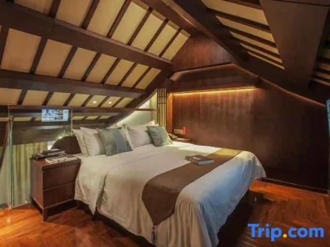 Duplex Suite