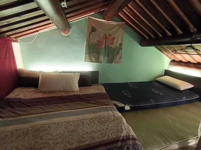 Biiann B&B