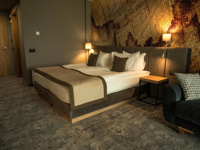 Standard Double room with pool view