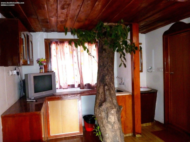 Double Tree Villa