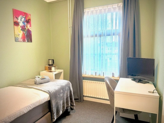 Standard Single room with city view