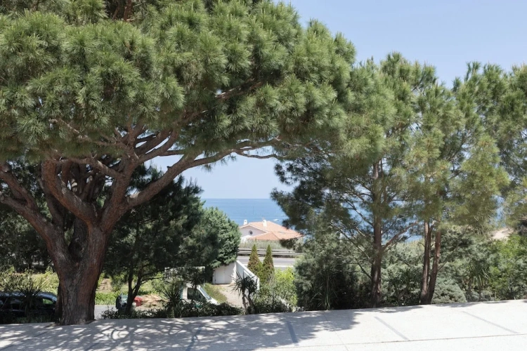 Standard Single room with sea view