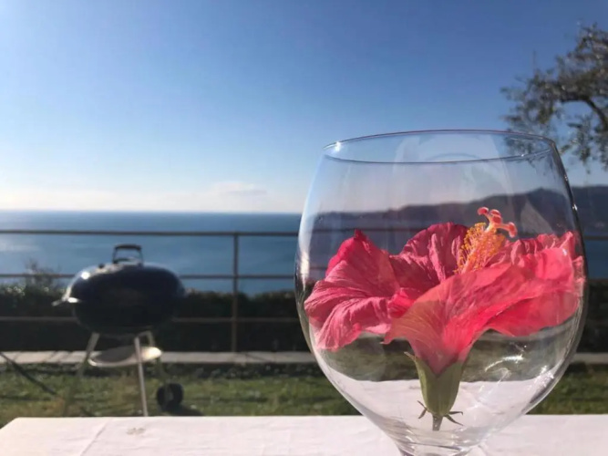 Villa del Sol