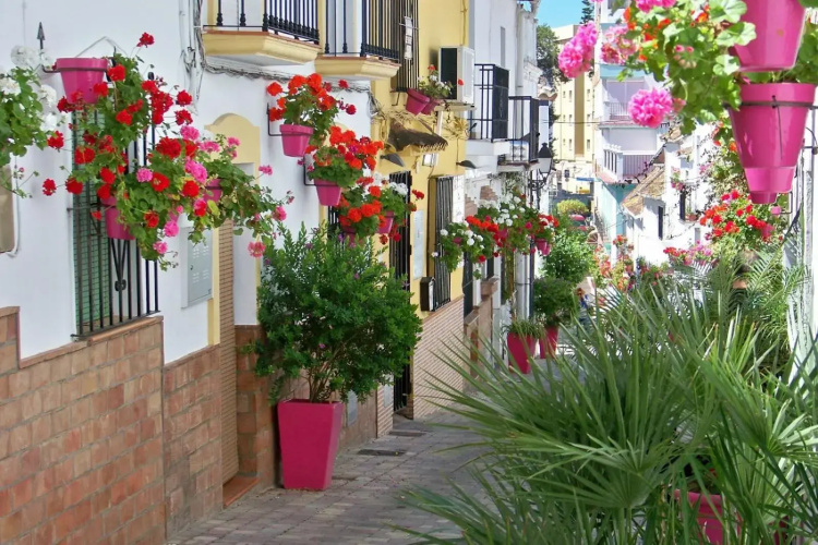 Villacana 2907