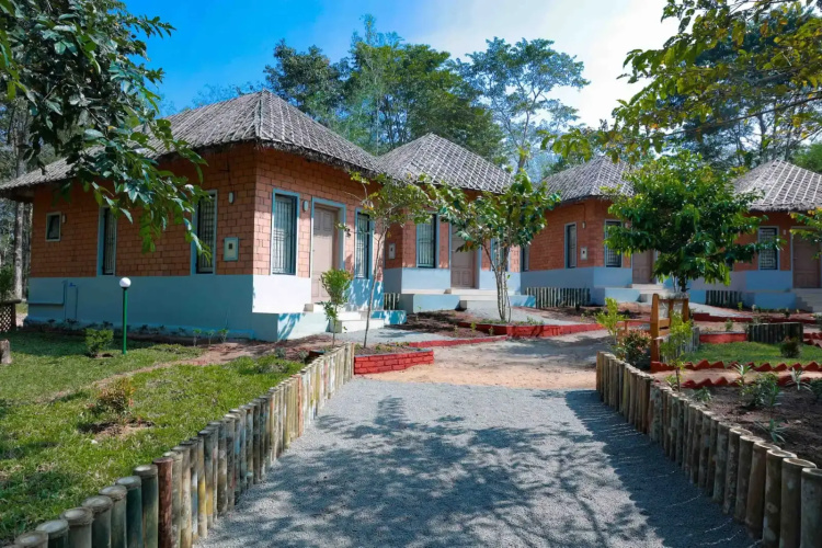 Arippa Eco Tourism-Stay Inside Forest
