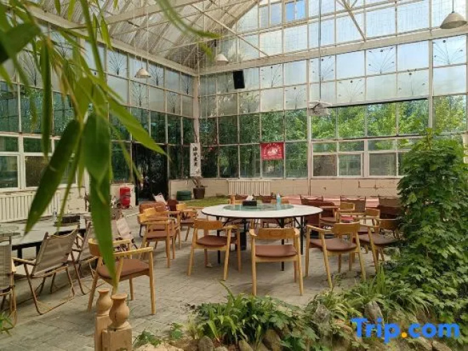 Qingguo Tree House Camping Hotel