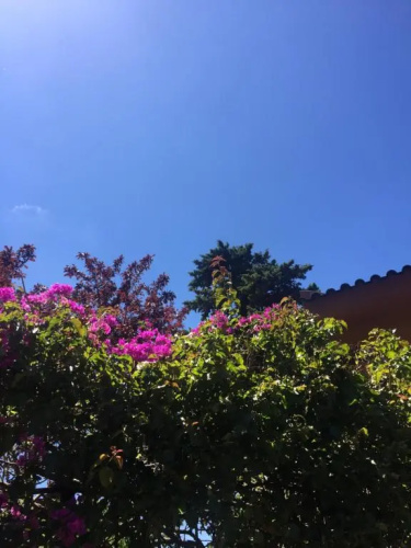 Lei Home