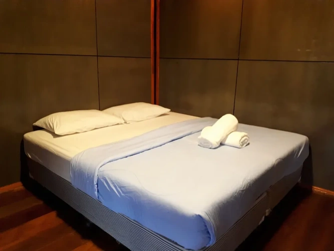 Standard Double room with balcony and with river view