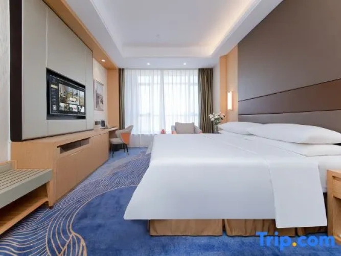 1 Bedroom Executive Suite