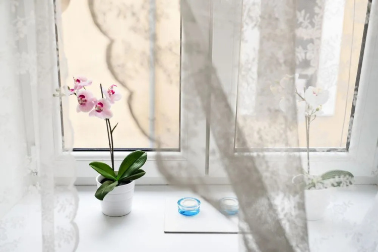 Horizon Apartments - Nowa