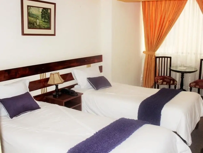 Standard Twin room